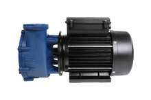 Lade das Bild in den Galerie-Viewer, Gecko Whirlpoolpumpe 2-Speed