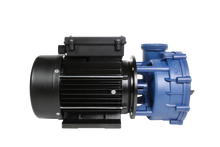 Lade das Bild in den Galerie-Viewer, Gecko Whirlpoolpumpe 2-Speed