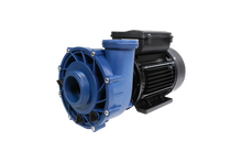 Lade das Bild in den Galerie-Viewer, Gecko Whirlpoolpumpe 2-Speed