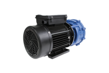 Lade das Bild in den Galerie-Viewer, Gecko Whirlpoolpumpe 2-Speed